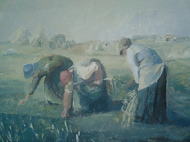 Zdjęcie z galerii