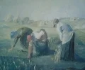 Zdjęcie z galerii